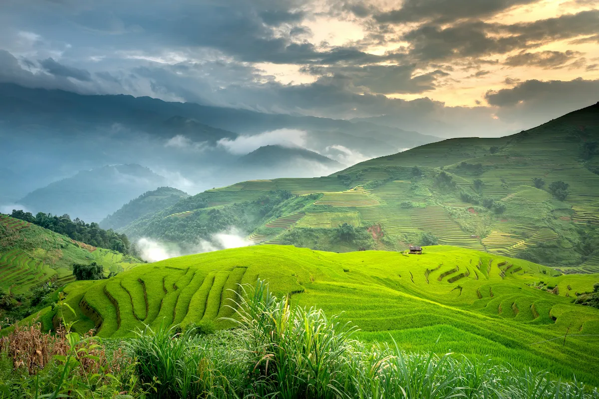 Professional araku to vizag taxi driver navigating scenic mountain road for safe cab journey from Araku Valley to Visakhapatnam